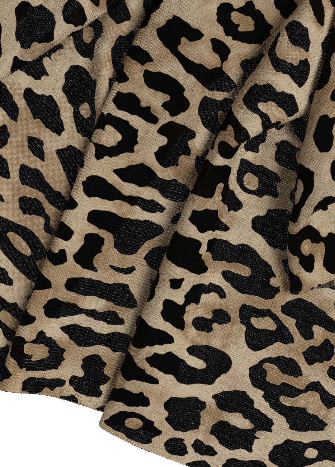 model_shot-detail